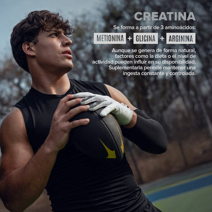 BIRDMAN | Creatina Monohidratada de Alta Pureza En Polvo Sin Sabor, Preworkout, Alto Rendimiento